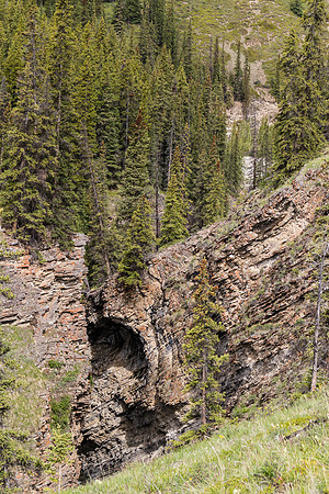 Tyrrell Creek.