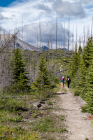 The old Cascade Fire Road is overgrown in spots and wide in others.