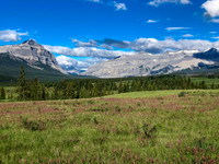 Biking through Ya Ha Tinda towards a distant Warden Rock and the Banff Park boundary.