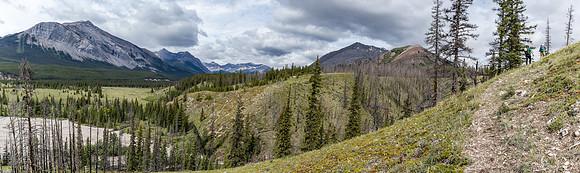 On the Tyrrell Creek / Tomahawk Pass trail, views to Mount Tyrrell and White (L).