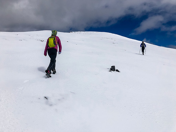 Nearing the summit of Wapiti Mountain. It's bloody cold for Summer!!