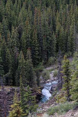Tyrrell Creek.