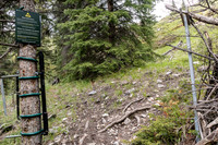 Another bison fence along the Tomahawk Pass / Tyrrell Creek trail.