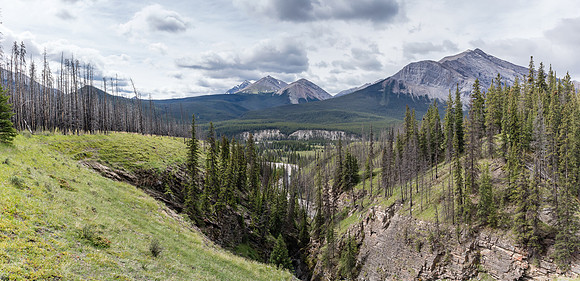 Looking south down Tyrrell Creek with Mount White at right.