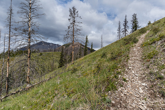 On the Tyrrell Creek / Tomahawk Pass trail, views to Mount Tyrrell.
