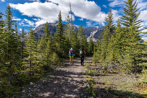 Starting our hike to Tyrrell Creek along the Red Deer River on the Cascade Fire Road trail.