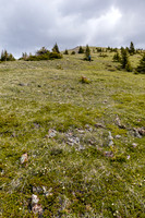 Ascending easy grassy west slopes to the false summit.