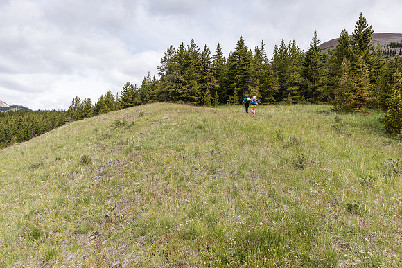 Hiking the Tomahawk Pass / Tyrrell Creek trail.