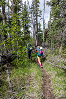 The old Cascade Fire Road is overgrown in spots and wide in others.