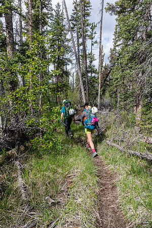 The old Cascade Fire Road is overgrown in spots and wide in others.