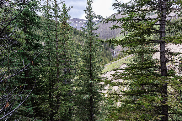 Hiking the Tomahawk Pass / Tyrrell Creek trail.
