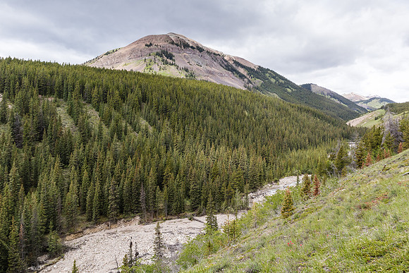Hiking the Tomahawk Pass / Tyrrell Creek trail.