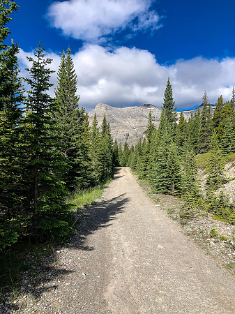 Biking through Ya Ha Tinda towards a distant Warden Rock and the Banff Park boundary.
