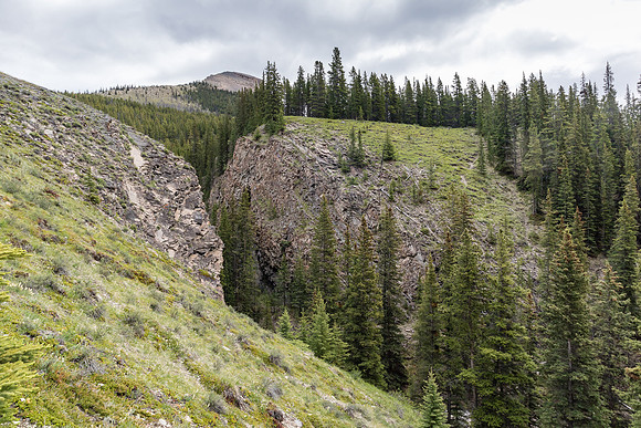 A natural gate to keep the bison in the fenced area if needed.