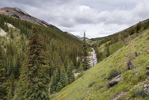 Hiking the Tomahawk Pass / Tyrrell Creek trail.