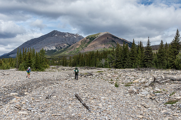 Heading north up Tyrrell Creek. Soon we'll take a trail on the east side of the creekbed.