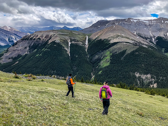 Descending the west slopes of Wapiti towards Tyrrell Creek.