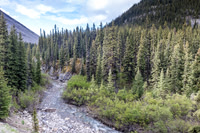 Forbidden Creek.
