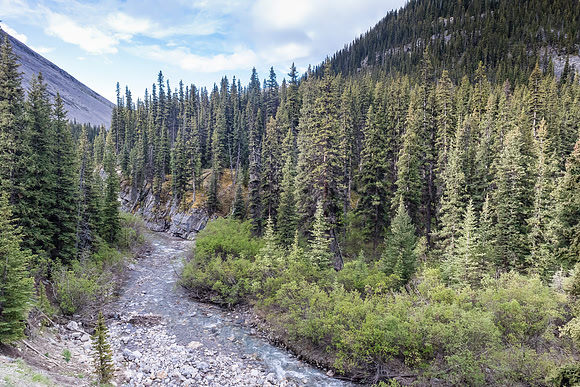 Forbidden Creek.