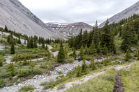 Hiking up to Shale Pass.