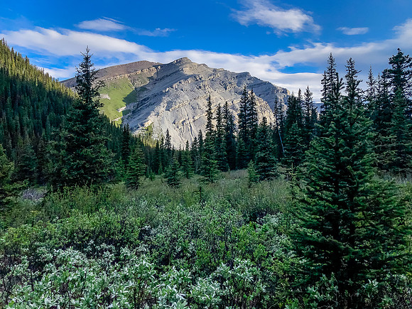 Hiking down from Tomahawk Pass.