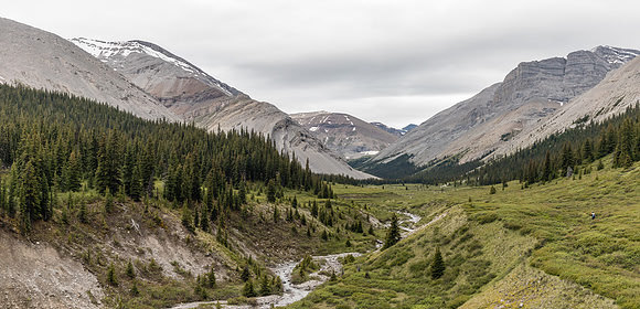 Descending to the lovely Forbidden Creek flats on route to Shale Pass.