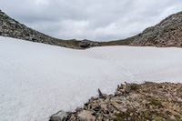 Bear tracks descending over Shale Pass.