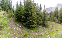 The right branch goes off down Forbidden Creek. The left goes either to Shale or Condor Pass.