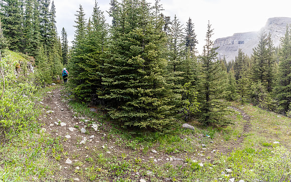 The right branch goes off down Forbidden Creek. The left goes either to Shale or Condor Pass.