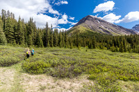 Hiking back up the Peters Creek / Divide Pass trail.