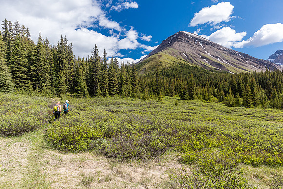 Hiking back up the Peters Creek / Divide Pass trail.