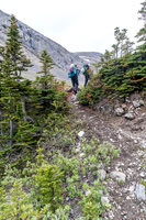 Hiking up to Shale Pass.