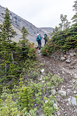 Hiking up to Shale Pass.