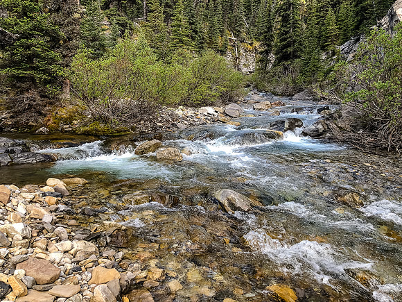 A lovely creek coming down from the pass area, eventually joins with Forbidden Creek.
