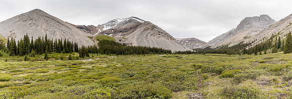 Descending to the lovely Forbidden Creek flats on route to Shale Pass.