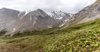 Looking at the head valley of Forbidden Creek.