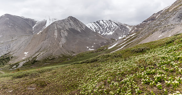 Looking at the head valley of Forbidden Creek.