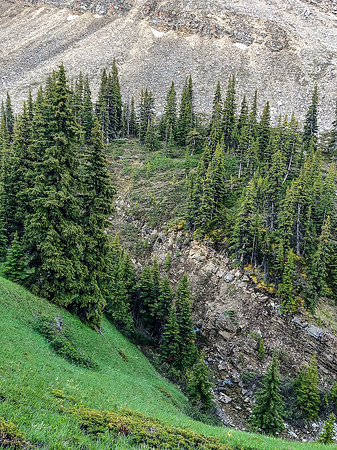 Hiking down from Tomahawk Pass.
