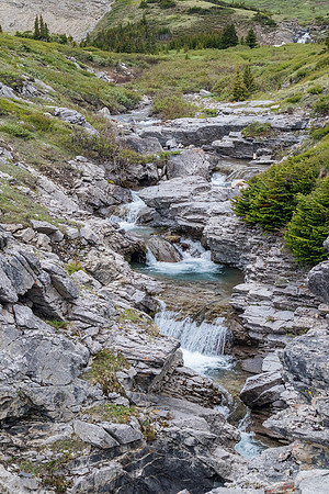 The upper stretches of Forbidden Creek are quite scenic.