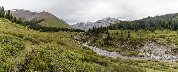 Looking down Forbidden Creek.