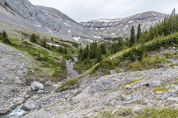 Hiking up to Shale Pass.
