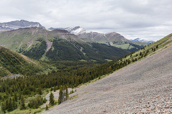 Looking down Peters Creek from Shale Pass.