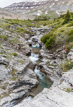 The upper stretches of Forbidden Creek are quite scenic.