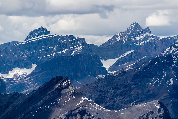Augusta (L) and Recondite (R).