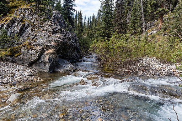 A lovely creek coming down from the pass area, eventually joins with Forbidden Creek.
