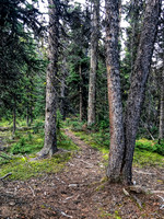 Hiking down from Tomahawk Pass.