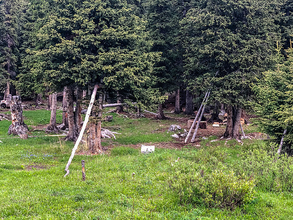 A horse camp.