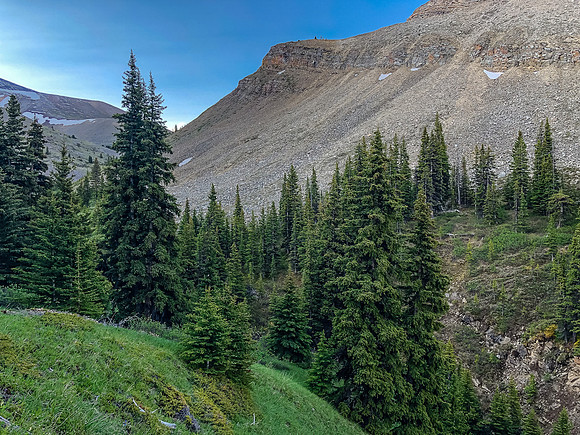 Hiking down from Tomahawk Pass, look back up towards the pass area at left.