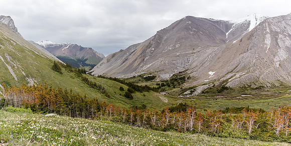 Looking back down Forbidden Creek towards an outlier of Forbidden Mountain (L).