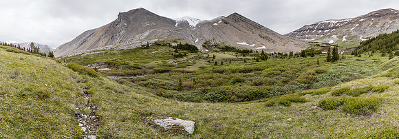 The upper stretches of Forbidden Creek are quite scenic.